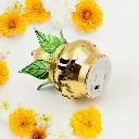 12_8b4ceb4e-d0cd-4b5b-b2b0-c2bee517208e.webp